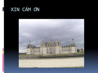 XIN CÁM ƠN
 