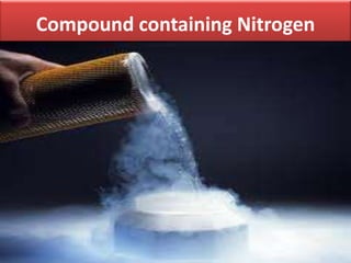 Compound containing Nitrogen
By Azeem
 