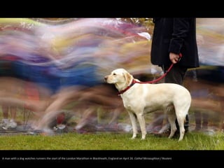 A man with a dog watches runners the start of the London Marathon in Blackheath, England on April 26. Cathal Mcnaughton / ...