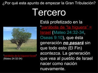 ¿Por qué esta apunto de empezar la Gran Tribulación?

                          Tercero
                                  Está profetizado en la
                                  “parábola de “la higuera” =
                                  Israel (Mateo 24:32-34,
                                  Oseas 9:10), que ésta
                                  generación no pasará sin
                                  que todo esto (El Fin)
“parábola de la higuera=Israel”
                                  acontezca. La generación
(Mateo 24:32-34)                  que vea al pueblo de Israel
                                  nacer como nación
                                  nuevamente.
 