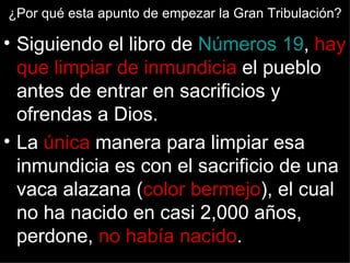 ¿Por qué esta apunto de empezar la Gran Tribulación?

• Siguiendo el libro de Números 19, hay
  que limpiar de inmundicia el pueblo
  antes de entrar en sacrificios y
  ofrendas a Dios.
• La única manera para limpiar esa
  inmundicia es con el sacrificio de una
  vaca alazana (color bermejo), el cual
  no ha nacido en casi 2,000 años,
  perdone, no había nacido.
 