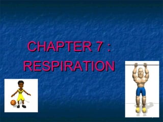 CHAPTER 7 :
RESPIRATION


              1
 