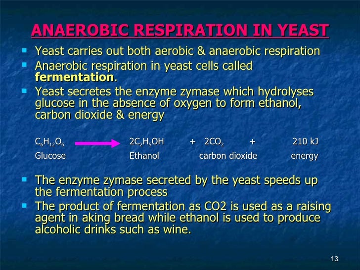 7[1].1 the respiratory process in energy production