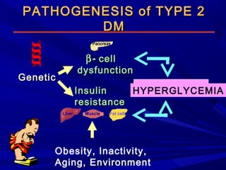 PATHOGENESIS of TYPE 2PATHOGENESIS of TYPE 2
DMDM
GeneticGenetic
Obesity, Inactivity,
Aging, Environment
ββ-- cellcell
dysfunctiondysfunction
InsulinInsulin
resistanceresistance
HYPERGLYCEMIAHYPERGLYCEMIA
Pancreas
Liver Muscle Fat cell
 