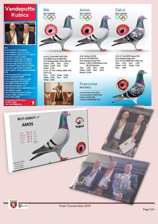 Vente Tournai-Kain 2019
Page 3/6
 