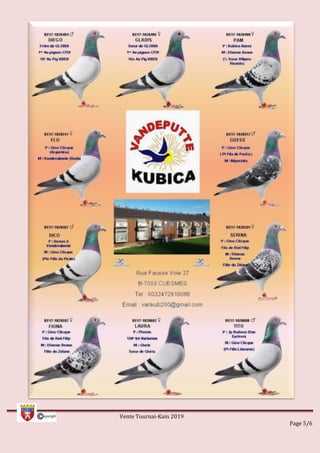 Vente Tournai-Kain 2019
Page 5/6
 