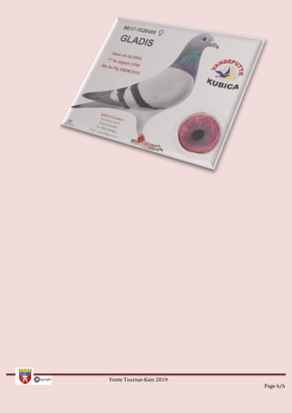 Vente Tournai-Kain 2019
Page 6/6
 