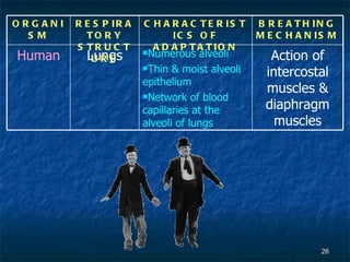 7[1].2 the respiratory structure | PPT