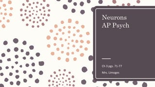 Neurons
AP Psych
Ch 3 pgs. 71-77
Mrs. Limoges
 