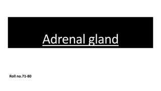 Adrenal gland
Roll no.71-80
 