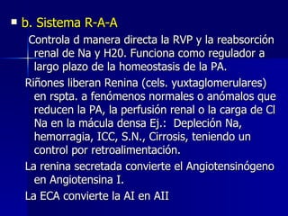 b. Sistema R-A-A Controla d manera directa la RVP y la reabsorción renal de Na y H20. Funciona como regulador a largo plazo de la homeostasis de la PA. Riñones liberan Renina (cels. yuxtaglomerulares) en rspta. a fenómenos normales o anómalos que reducen la PA, la perfusión renal o la carga de Cl Na en la mácula densa Ej.:  Depleción Na, hemorragia, ICC, S.N., Cirrosis, teniendo un control por retroalimentación. La renina secretada convierte el Angiotensinógeno en Angiotensina I. La ECA convierte la AI en AII  