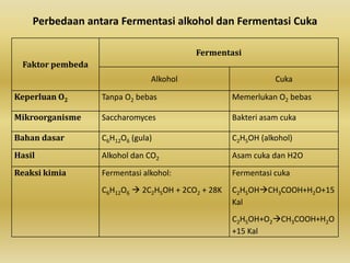 Perbedaan antara Fermentasi alkohol dan Fermentasi Cuka

                                          Fermentasi
  Faktor pembeda
                                Alkohol                        Cuka

Keperluan O2       Tanpa O2 bebas                   Memerlukan O2 bebas

Mikroorganisme     Saccharomyces                    Bakteri asam cuka

Bahan dasar        C6H12O6 (gula)                   C2H5OH (alkohol)

Hasil              Alkohol dan CO2                  Asam cuka dan H2O

Reaksi kimia       Fermentasi alkohol:              Fermentasi cuka
                   C6H12O6  2C2H5OH + 2CO2 + 28K   C2H5OHCH3COOH+H2O+15
                                                    Kal
                                                    C2H5OH+O2CH3COOH+H2O
                                                    +15 Kal
 