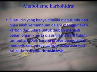 Anabolisme karbohidrat

• Suatu ciri yang hanya dimiliki oleh tumbuhan
  hijau ialah kemampuan dalam menggunakan
  karbon dari udara untuk diubah menjadi
  bahan organik serta diasimilasi dalam tubuh
  tumbuhan. Oleh karena proses pengubahan
  memerlukan energy cahaya, maka asimilasi
  zat karbon disebut fotosintesis.
 