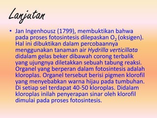 Lanjutan
• Jan Ingenhousz (1799), membuktikan bahwa
  pada proses fotosintesis dilepaskan O2 (oksigen).
  Hal ini dibuktikan dalam percobaannya
  menggunakan tanaman air Hydrilla verticillata
  didalam gelas beker dibawah corong terbalik
  yang ujungnya diletakkan sebuah tabung reaksi.
  Organel yang berperan dalam fotosintesis adalah
  kloroplas. Organel tersebut berisi pigmen klorofil
  yang menyebabkan warna hijau pada tumbuhan.
  Di setiap sel terdapat 40-50 kloroplas. Didalam
  kloroplas inilah penyerapan sinar oleh klorofil
  dimulai pada proses fotosintesis.
 