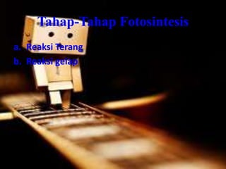 Tahap-Tahap Fotosintesis
a. Reaksi Terang
b. Reaksi gelap
 