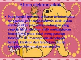 Aliran elektron siklik

• Pada kondisi tertentu, elektron terfotoeksitasi
  mengambil jalur aliran elektron siklik. Aliran
  elektron siklik merupakan hubungan yang
  singkat. Aliran electron siklik menggunakan
  fotosistem I, tetapi tidak menggunakan
  fotosistem II. Prosesnya adalah sebagai
  berikut. Elektron dari feredoksin (Fd) ke
  kompleks sitokrom dan berlanjut ke
 