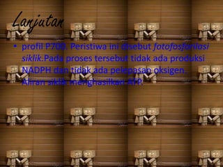 Lanjutan
• profil P700. Peristiwa ini disebut fotofosforilasi
  siklik.Pada proses tersebut tidak ada produksi
  NADPH dan tidak ada pelepasan oksigen.
  Aliran siklik menghasilkan ATP.
 