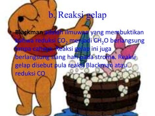 b. Reaksi gelap
• Blackman adalah ilmuwan yang membuktikan
  bahwa reduksi CO2 menjadi CH2O berlangsung
  tanpa cahaya. Reaksi gelap ini juga
  berlangsung siang hari pada stroma. Reaksi
  gelap disebut pula reaksi Blackman atau
  reduksi CO.
 