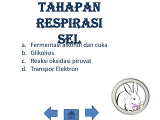 Tahapan
     Respirasi
a.
           Sel dan cuka
   Fermentasi alkohol
b. Glikolisis
c. Reaksi oksidasi piruvat
d. Transpor Elektron
 