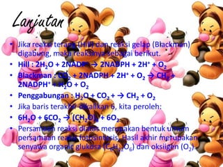 Lanjutan
• Jika reaksi terang (Hill) dan reaksi gelap (Blackman)
  digabung, maka reaksinya sebagai berikut.
• Hill : 2H2O + 2NADP+ → 2NADPH + 2H+ + O2
• Blackman : CO2 + 2NADPH + 2H+ + O2 → CH2 +
  2NADPH+ + H2O + O2
• Penggabungan : H2O + CO2 + → CH2 + O2
• Jika baris terakhir dikalikan 6, kita peroleh:
• 6H2O + 6CO2 → (CH2O)6 + 6O2
• Persamaan reaksi diatas merupakan bentuk umum
  persamaan reaksi fotosintesis, Hasil akhir merupakan
  senyawa organic glukosa (C6H12O6) dan oksiigen (O2).
 