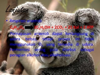 Lanjutan
• Respirasi anaerob:
  C6H12O6      2C2H5OH + 2CO2 + 21 Kal + 2 ATP
  Pernapasan anaerob dapat berlangsung di
  udara bebas, tetapi proses ini tidak
  menggunakan O2 yang tersedia di udara.
  Fermentasi sering pula disebut sebagai
  peragian alkohol atau alkoholisasi.
 