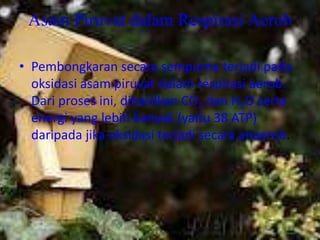 Asam Piruvat dalam Respirasi Aerob

• Pembongkaran secara sempurna terjadi pada
  oksidasi asam piruvat dalam respirasi aerob.
  Dari proses ini, dihasilkan CO2 dan H2O serta
  energi yang lebih banyak (yaitu 38 ATP)
  daripada jika oksidasi terjadi secara anaerob.
 