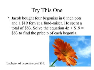 Try This One Jacob bought four begonias in 6 inch pots and a $19 fern at a fund-raiser. He spent a total of $83. Solve the equation 4p + $19 = $83 to find the price p of each begonia. Each pot of begonias cost $16. 