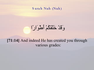 Surah Nuh (Nuh) وَقَدْ خَلَقَكُمْ أَطْوَارًا  [71:14]  And indeed He has created you through various grades:  