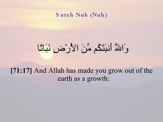 Surah Nuh (Nuh) وَاللَّهُ أَنبَتَكُم مِّنَ الْأَرْضِ نَبَاتًا  [71:17]  And Allah has made you grow out of the earth as a growth:  