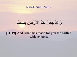 Surah Nuh (Nuh) وَاللَّهُ جَعَلَ لَكُمُ الْأَرْضَ بِسَاطًا  [71:19]  And Allah has made for you the earth a wide expanse,  