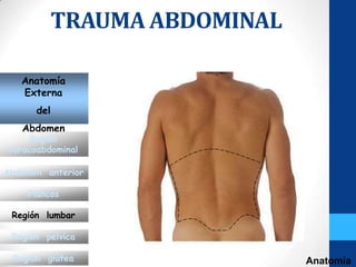 TRAUMA ABDOMINAL

   Anatomía
   Externa
      del
   Abdomen
      Región
 toracoabdominal

Abdomen anterior

     Flancos

 Región lumbar

 Región pélvica

 Región glútea                 Anatomía
 