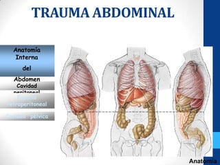 TRAUMA ABDOMINAL

  Anatomía
   Interna
     del
  Abdomen
    Cavidad
  peritoneal
    Espacio
retroperitoneal

Cavidad pélvica




                              Anatomía
 