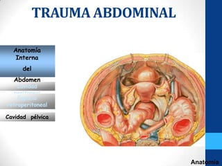 TRAUMA ABDOMINAL

  Anatomía
   Interna
     del
  Abdomen
    Cavidad
  peritoneal
    Espacio
retroperitoneal

Cavidad pélvica




                              Anatomía
 
