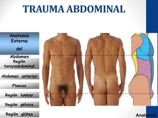 TRAUMA ABDOMINAL

   Anatomía
   Externa
      del
   Abdomen
      Región
 toracoabdominal

Abdomen anterior

     Flancos

 Región lumbar

 Región pélvica

 Región glútea                 Anatomía
 