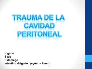 Higado
Bazo
Estomago
Intestino delgado (yeyuno - íleon)
 