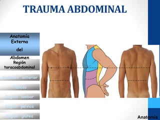 TRAUMA ABDOMINAL

   Anatomía
   Externa
      del
   Abdomen
      Región
 toracoabdominal

Abdomen anterior

     Flancos

 Región lumbar

 Región pélvica

 Región glútea                 Anatomía
 