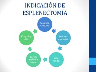 INDICACIÓN DE
ESPLENECTOMÍA
                 Sangrado
                 >1000mL.



Coagulop                          Lesiones
  atia.                          asociadas.




      Rotura
                             Hilio
     esplénica
                            herido.
      masiva.
 