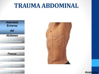 TRAUMA ABDOMINAL

   Anatomía
   Externa
      del
   Abdomen
      Región
 toracoabdominal

Abdomen anterior

     Flancos

 Región lumbar

 Región pélvica

 Región glútea                 Anatomía
 