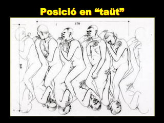 Posició en “taüt”
 