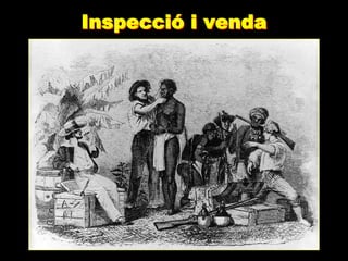 Inspecció i venda
 