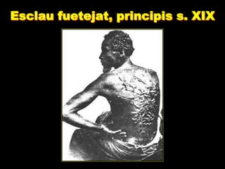 Esclau fuetejat, principis s. XIX
 