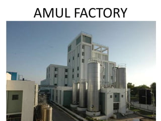 7108 presentation amul | PPTX