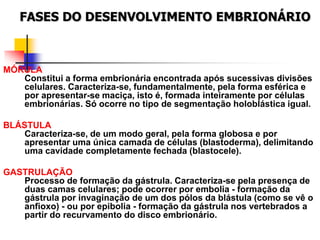 FASES DO DESENVOLVIMENTO EMBRIONÁRIO
MÓRULA
Constitui a forma embrionária encontrada após sucessivas divisões
celulares. Caracteriza-se, fundamentalmente, pela forma esférica e
por apresentar-se maciça, isto é, formada inteiramente por células
embrionárias. Só ocorre no tipo de segmentação holoblástica igual.
BLÁSTULA
Caracteriza-se, de um modo geral, pela forma globosa e por
apresentar uma única camada de células (blastoderma), delimitando
uma cavidade completamente fechada (blastocele).
GASTRULAÇÃO
Processo de formação da gástrula. Caracteriza-se pela presença de
duas camas celulares; pode ocorrer por embolia - formação da
gástrula por invaginação de um dos pólos da blástula (como se vê o
anfioxo) - ou por epibolia - formação da gástrula nos vertebrados a
partir do recurvamento do disco embrionário.
 