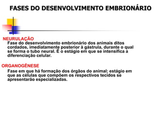 FASES DO DESENVOLVIMENTO EMBRIONÁRIO
NEURULAÇÃO
Fase do desenvolvimento embrionário dos animais ditos
cordados, imediatamente posterior à gástrula, durante o qual
se forma o tubo neural. É o estágio em que se intensifica a
diferenciação celular.
ORGANOGÊNESE
Fase em que há formação dos órgãos do animal; estágio em
que as células que compõem os respectivos tecidos se
apresentarão especializadas.
 