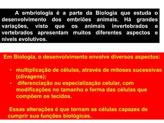 A embriologia é a parte da Biologia que estuda o
desenvolvimento dos embriões animais. Há grandes
variações, visto que os animais invertebrados e
vertebrados apresentam muitos diferentes aspectos e
níveis evolutivos.
Em Biologia, o desenvolvimento envolve diversos aspectos:
• multiplicação de células, através de mitoses sucessivas
(clivagens);
• diferenciação ou especialização celular, com
modificações no tamanho e forma das células que
compõem os tecidos.
Essas alterações é que tornam as células capazes de
cumprir sua funções biológicas.
 