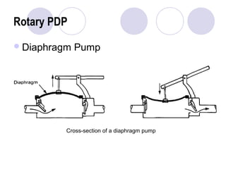 Rotary PDP 
Diaphragm Pump 
Cross-section of a diaphragm pump 
 