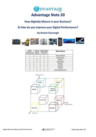 Digital Business Maturity & Performance Advantage Note 20
Advantage Note 20
How Digitally Mature is your Business?
& How do you improve your Digital Performance?
By Declan Kavanagh
 
