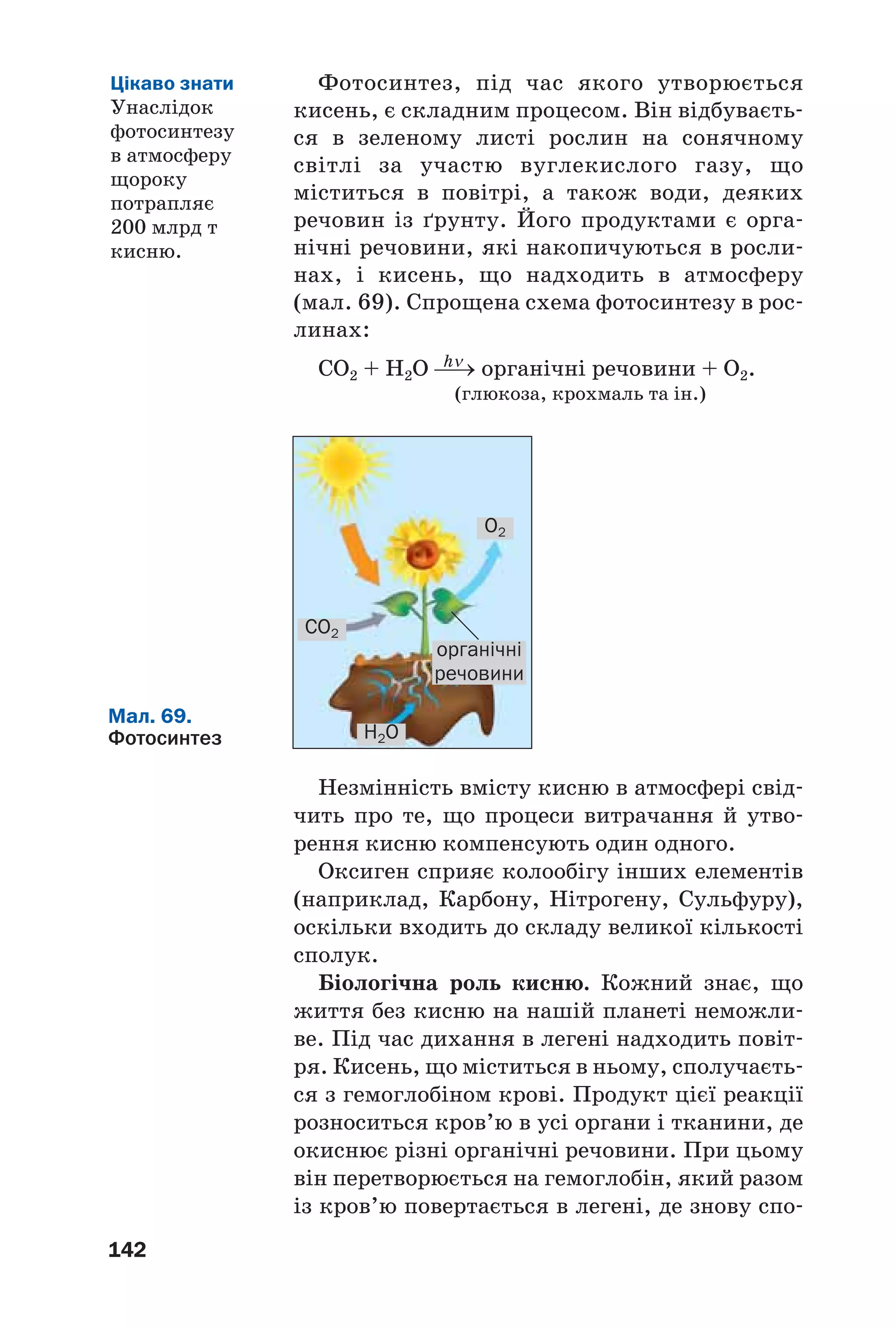 142
Фотосинтез, під час якого утворюється
кисень, є складним процесом. Він відбуваєть
ся в зеленому листі рослин на сонячному
світлі за участю вуглекислого газу, що
міститься в повітрі, а також води, деяких
речовин із ґрунту. Його продуктами є орга
нічні речовини, які накопичуються в росли
нах, і кисень, що надходить в атмосферу
(мал. 69). Спрощена схема фотосинтезу в рос
линах:
hνCО2 + H2O ⎯→ органічні речовини + O2.
(глюкоза, крохмаль та ін.)
ВИСНОВ
Мал. 69.
Фотосинтез
органічні
речовини
H2O
CO2
O2
Цікаво знати
Унаслідок
фотосинтезу
в атмосферу
щороку
потрапляє
200 млрд т
кисню.
Незмінність вмісту кисню в атмосфері свід
чить про те, що процеси витрачання й утво
рення кисню компенсують один одного.
Оксиген сприяє колообігу інших елементів
(наприклад, Карбону, Нітрогену, Сульфуру),
оскільки входить до складу великої кількості
сполук.
Біологічна роль кисню. Кожний знає, що
життя без кисню на нашій планеті неможли
ве. Під час дихання в легені надходить повіт
ря. Кисень, що міститься в ньому, сполучаєть
ся з гемоглобіном крові. Продукт цієї реакції
розноситься кров’ю в усі органи і тканини, де
окиснює різні органічні речовини. При цьому
він перетворюється на гемоглобін, який разом
із кров’ю повертається в легені, де знову спо
 