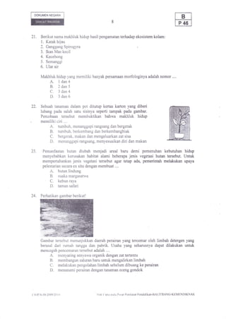 DOKUMEN NEGAM




21.    Berikut nama makhluk hidup hasil pengamatan terhadap ekosistem kolam:
       1. Katak hijau
       2. Ganggang Spirogyra
       3. Ikan Mas kecil
       4. Kecebong
       5, Semanggi
       6, Ular air

       Makhluk hidup yang memiliki banyak persamaan morfologinya adalah nomor ....
              A.l dan4
              B. 2dan5
              C. 3dan4
              D. 3dan6
22.    Sebuah tanaman dalam pot ditutup kertas karton yang diberi
       lubang pada salah satu sisinya seperti tampak pada gambar.
       Percobaan tersebut membuktikan bahwa makhluk hidup
       memilikiciri          ....
              A, tumbuh, menanggapi rangsang dan bergerak
              B, tumbuh, berkembang dan berkembangbiak
              C. bergerak, makan dan mengeluarkan zat sisa
              D. menanggapi rangsang, menyesuaikan diri dan makan
23.     Pemanfaatan hutan diubah menjadi areal baru demi pemenuhan kebutuhan hidup
        menyebabkan kerusakan habitat alami beberapa jenis vegetasi hutan tersebut. Untuk
        mempertahankan jenis vegetasi tersebut agar tetap ada, pemerintah melakukan upaya
        pelestarian secara ex situ dengan membuat ....
              A.  hutan lindung
              B,  suaka margasatwa
              C.  kebun raya
              D.  taman safari

       Perhatikan gambar berikut!




      Gambar tersebut menunjukkan daerah perairan yang tercemar oleh limbah detergen yang
      berasal dari rumah tangga dan pabrik. Usaha yang seharusnya dapat dilakukan untuk
      mencegah pencemaran tersebut adalah ....
              A.
               menyaring senyawa organik dengan zat tertentu
              B.
               membangun saluran baru untuk mengalirkan limbah
              C.
               melakukan pengolahan limbah sebelum dibuang ke perairan
              D.menanami perairan dengan tanaman eceng gondok




('+-ll,A-30-2009i20   i r)             IIak ( iptir patiir I'rrsal Pcnilaian l'}endidikan-l]Al,ll'llANG-KUMhINDIKNAS
 