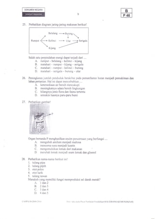 DOKUMEN NEGARA




25.      Perhatikan diagram jaring-jaring makanan berikut!


                                    ----e --+ Burung,.
                                    Belalang  "j"""
                                    Kelinci    +   Ular   ---2    Serigala


                                    Kijang



         Salah satu perpindahan energi dapat terjadi dari ....
                   A. rumput - belalang - kelinci - kijang
                   B. matahari - rumput - kijang - serigala
                   C. matahari -.rumput - kelinci* burung
                   D. matahari - serigala - burung - ular
26.      Peningkatan jumlah penduduk berakibat pada pemanfaatan hutan menjadi pemukiman dan
         lahan pertanian. Hal ini dapat menyebabkan .,..
                  A.ketersediaan air bersih mencukupi
                  B.meningkatnya udara bersih lingkungan
                  C.hilangnya jenis flora dan fauna tertentu
                  D.semakin luasnya paru-paru bumi

27.      Perhatikan gambar!




         Organ bertanda P menghasilkan enzim pencemaan yang berfungsi ...,
                  A.
                   mengubah amilum menjadi maltosa
                  B.
                   mencema susu menjadi kasein
                  C.
                   mengemulsikan lemak dari makanan
                  D.
                   merubah lemak menjadi asam lemak dan gliserol

28.     Perhatikan nama-nama berikut ini!
         L tulang pipa
        2. tulang pipih
        3. otot polos
        4. otot lurik
        5. tulang rawan
        Manakah yang memiliki fungsi memproduksi sel darah merah?
                  A. 1dan2
                  B, 2 dan3
                  C. 3dan4
                  D, 4dan5
(:+-ll)n -.10-2(x)(),:()   I   (,                  ll:rk ( rptu pirriir [)rrrat I'crrilaian l'crrdidikan-l]Al,l1 IIANG-KUMI-..,NDlKNAS
 